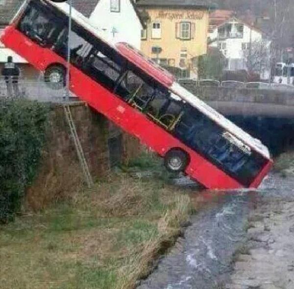 Редкое фото: дикий автобус пьет воду из реки жопой