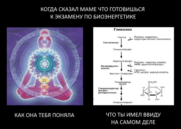 Биоэнергетика