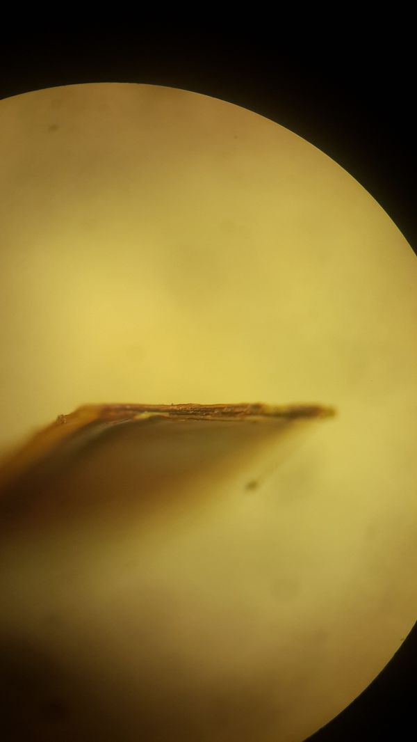 145257986815811329 Как восстановить шлейф на планшете