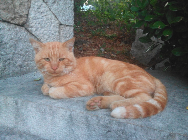 Народ, а давайте сегодня свинтим с работы пораньше.