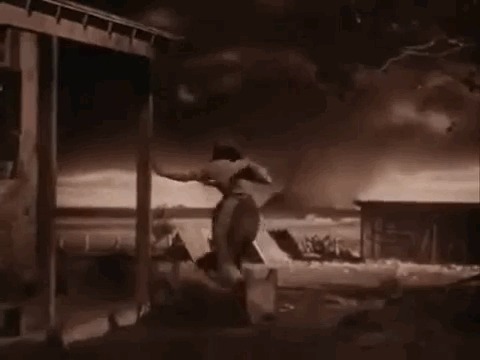     , , , 
