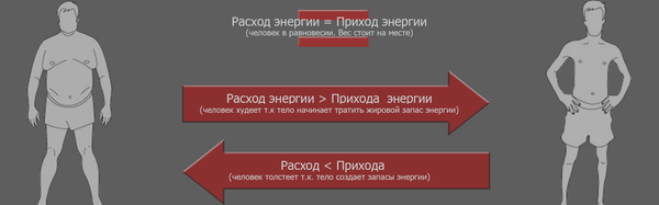 хватит жрать и так корова картинка. Смотреть фото хватит жрать и так корова картинка. Смотреть картинку хватит жрать и так корова картинка. Картинка про хватит жрать и так корова картинка. Фото хватит жрать и так корова картинка