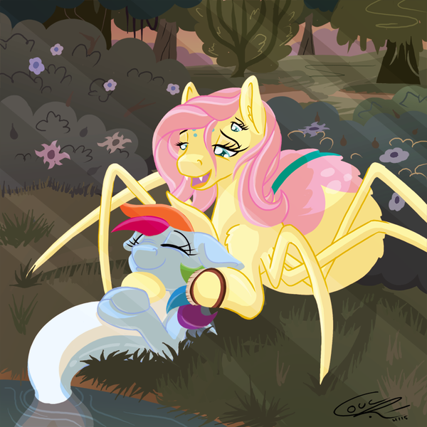   . My Little Pony, Fluttershy, Rainbow Dash, Spiderpony