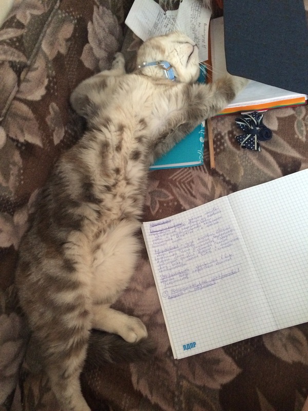 ������������, ����������