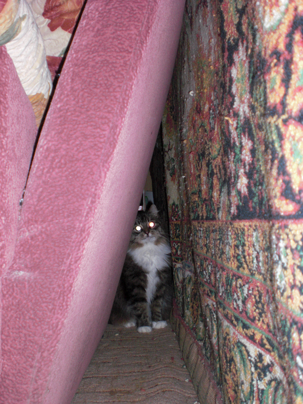 �����, ��� ����� ����� ���� ������ ����.