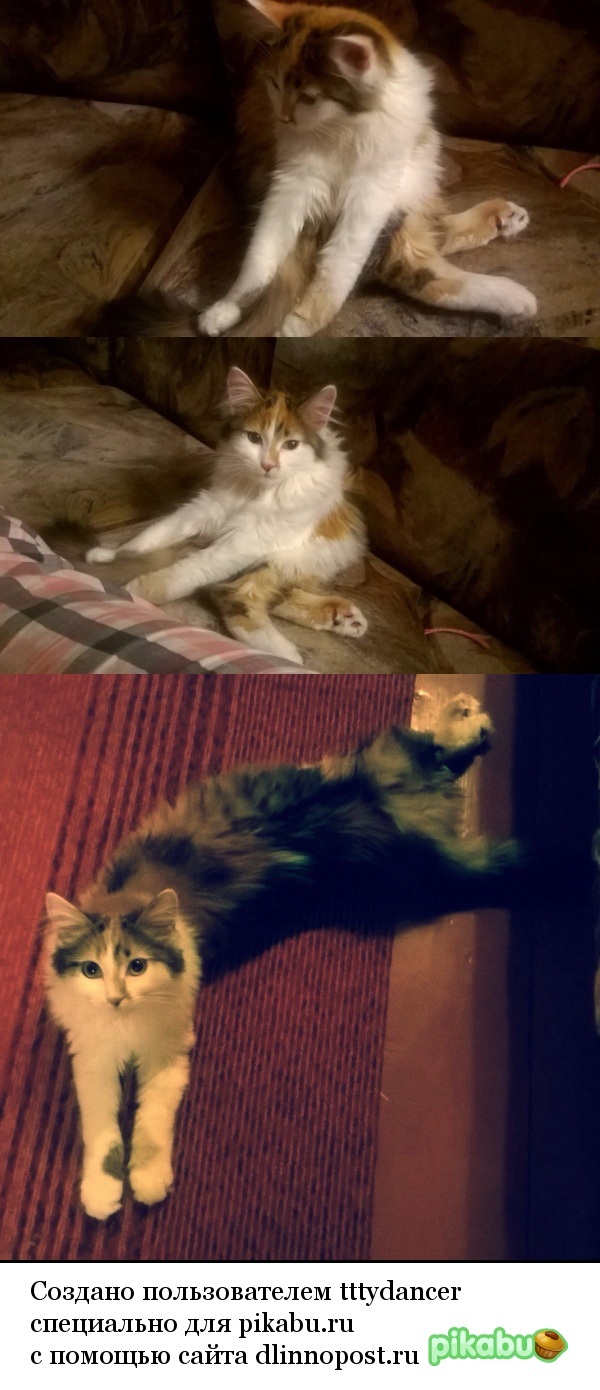 Мне так удобно!