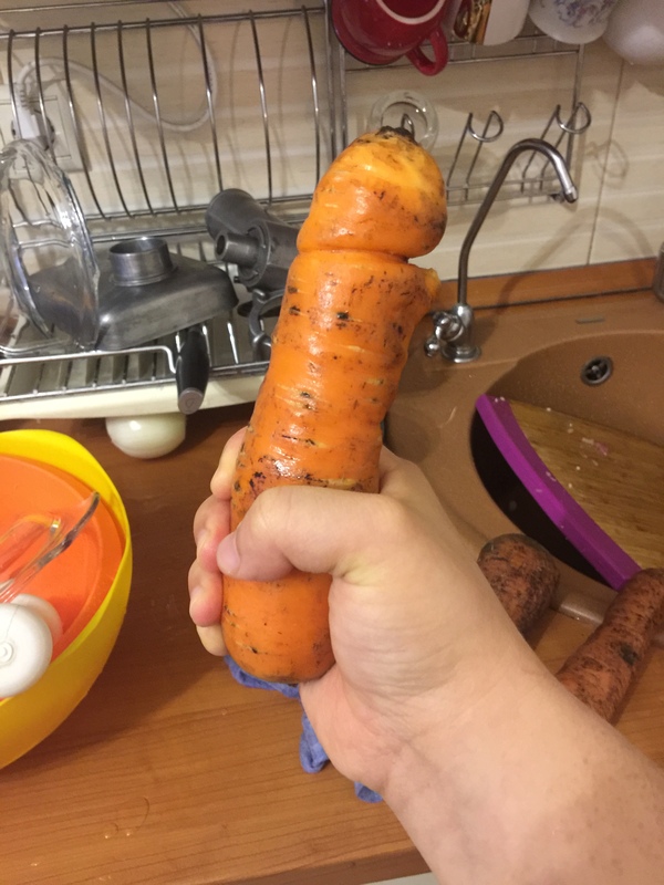 And the juice came out very bad - NSFW, My, Vegetables, Carrot, Wonders of nature