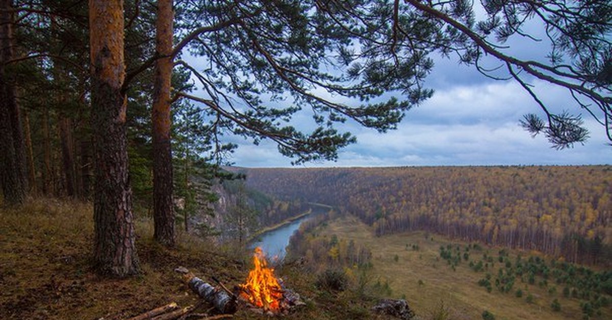 Фото Южный Лес