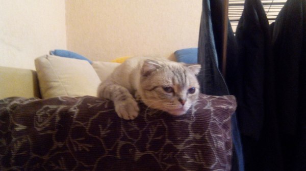 Когда прошли все праздники и вышел на работу.