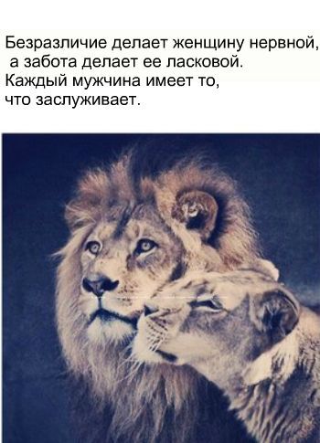 Про женщин