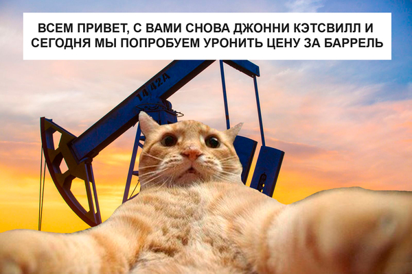 ����� ������ �������� � ������� �� �������� ������� ���� �� ������� �����