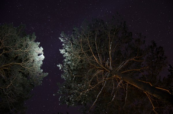 The first stars I photographed. - My, Stars, The photo, Starry sky