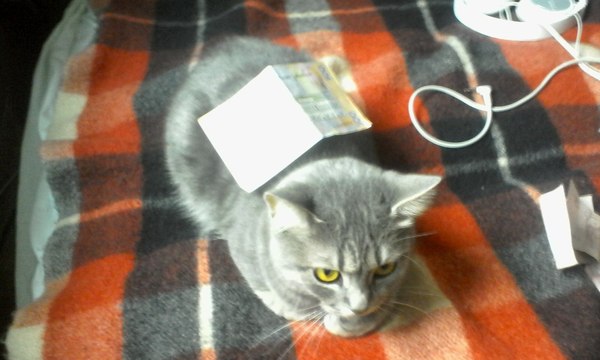  500 . , , ,  , Illuminati detected, 
