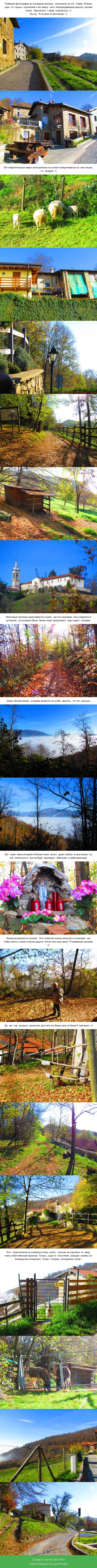 ������� �������� =)