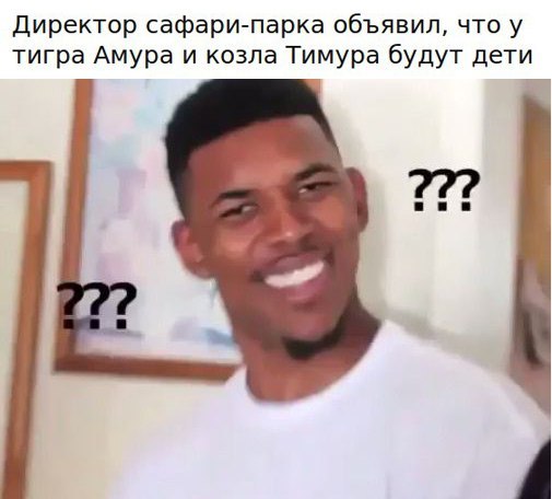 � ����� ������..