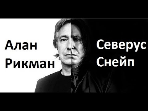 Прошёл 1 год... - Алан, Гарри Поттер, Северус Снейп, Смерть