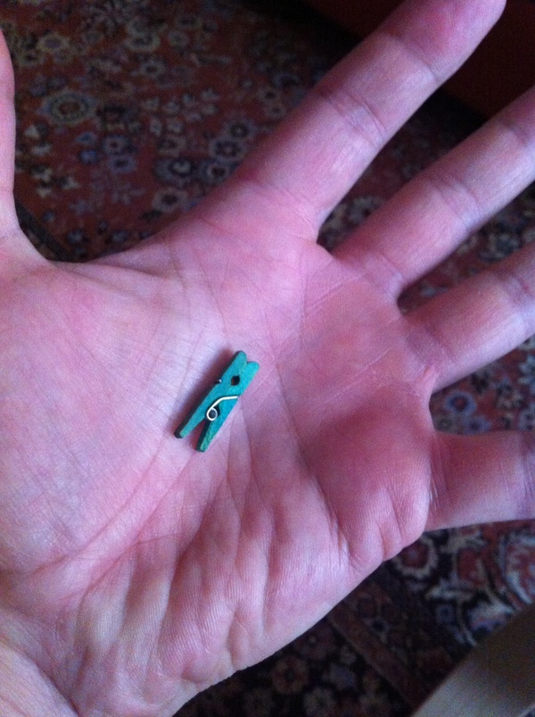 Мой вклад в лигу великанов. Рука и прищепка - мои.