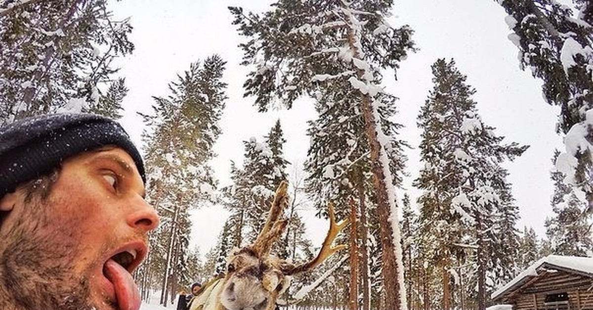 Смешные Оригинальные Фото