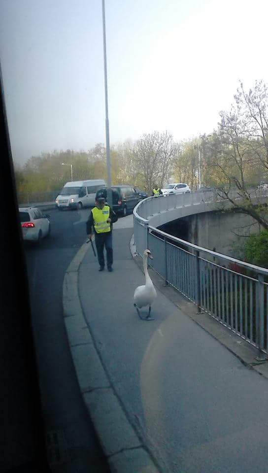 ������ ����������� ��������� ������