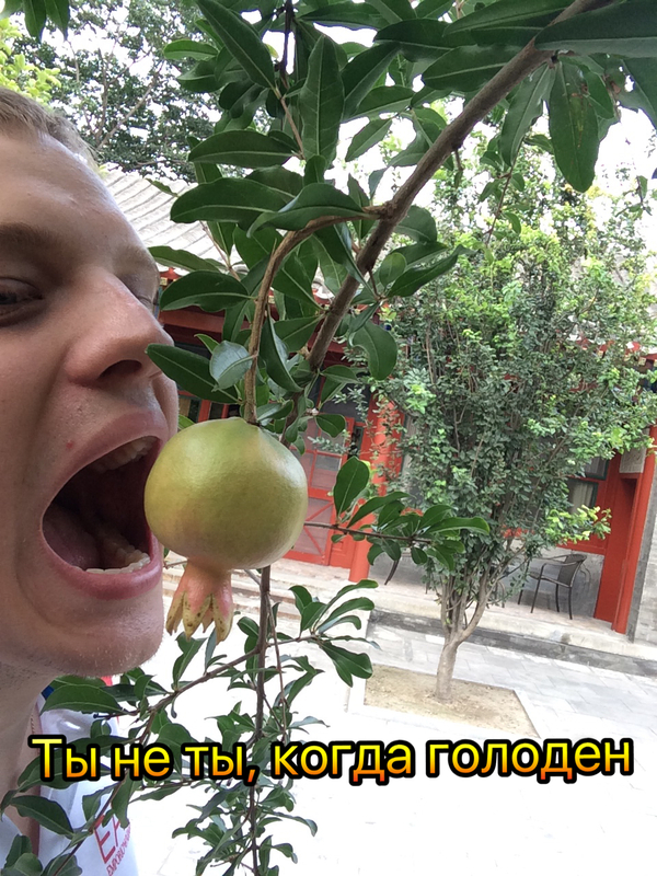 ����� �������