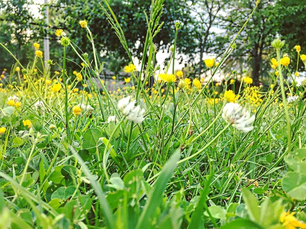 ��������� � �������� � �������, ������ ������