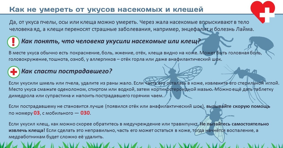 Защита от насекомых обж. Как защититься от укусов насекомых. Памятка при укусах насекомых. Памятка укусы насекомых. Памятка укусы насекомых и клещей.