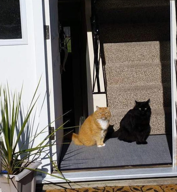 ��� � ��� ����