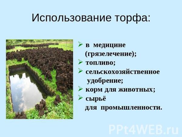 Для чего добывали торф в ссср. Смотреть фото Для чего добывали торф в ссср. Смотреть картинку Для чего добывали торф в ссср. Картинка про Для чего добывали торф в ссср. Фото Для чего добывали торф в ссср
