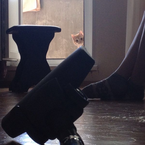 ����� ������ ������ �������