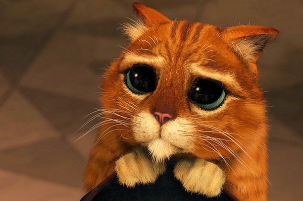 ����� ���� ������� 3d maya