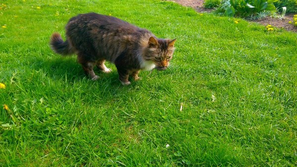 ��������