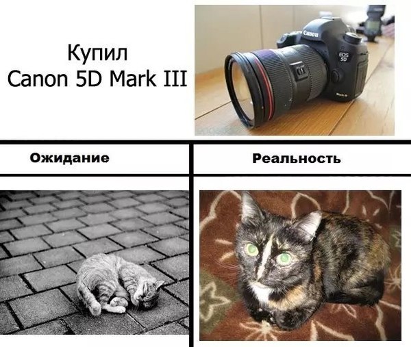 ����� �������� ����� ����� ���. ����������...