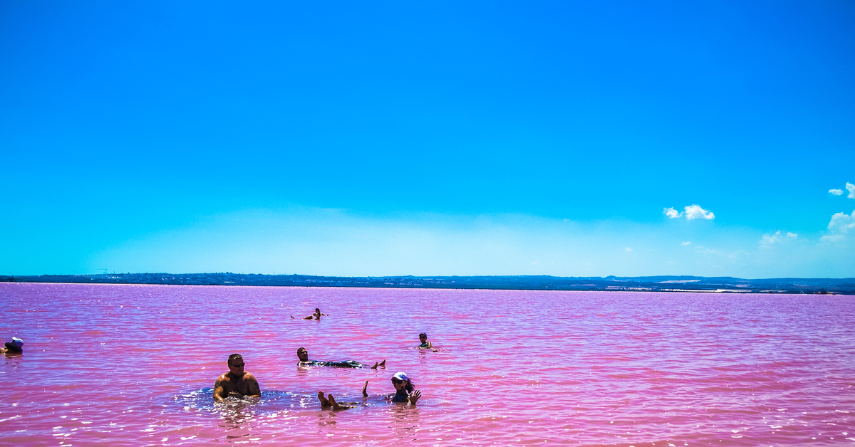 Есть розовое озеро. Лагуна Салинас де Торревьеха. Озеро Хиллиер, Австралия. Озеро Хиллер (остров Миддл). Озеро Салинас де Торревьеха в Испании.