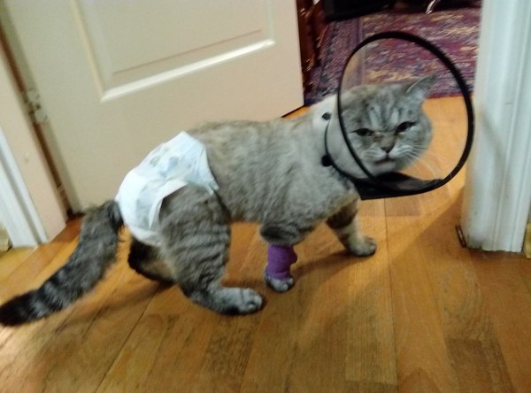 �� ����� �������, ����� �� ������������� ���