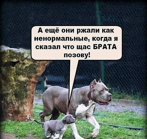 ������� ����...