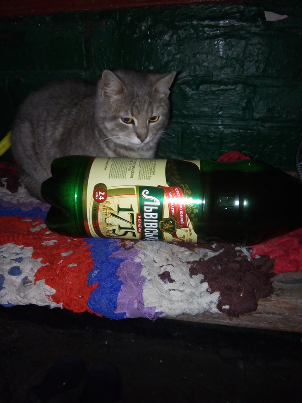 ������ ����.....