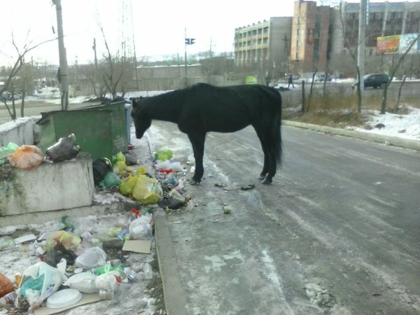 ������� ��������� ������