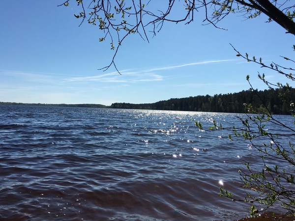 Лемболовское озеро, Ленинградская область