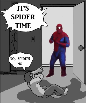Spider time