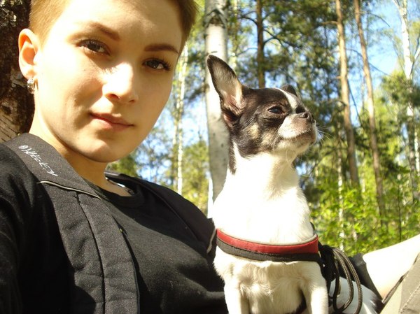 Выбрались таки