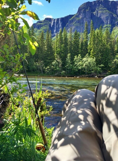 ������� �� ��������.