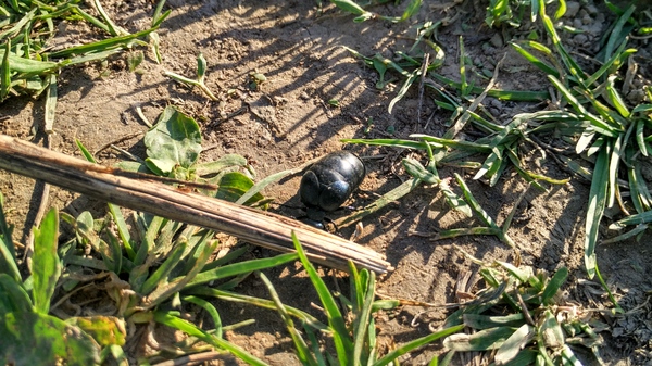 ���� ��������, ��� ���?