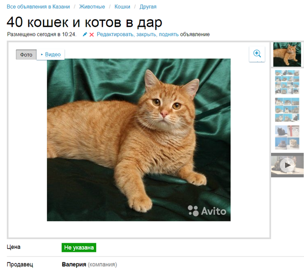 ����� �������-�� ����� �����