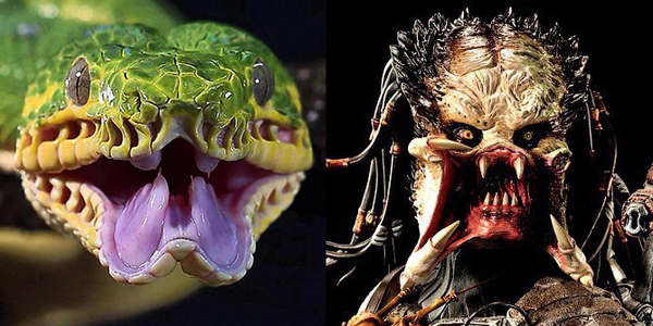 ���� ����������� �������� ����� ������ � ��������