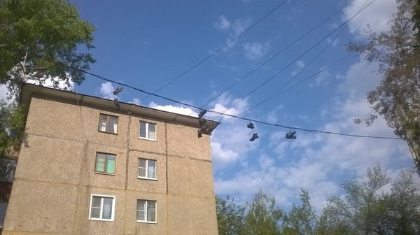 Грачи прилетели