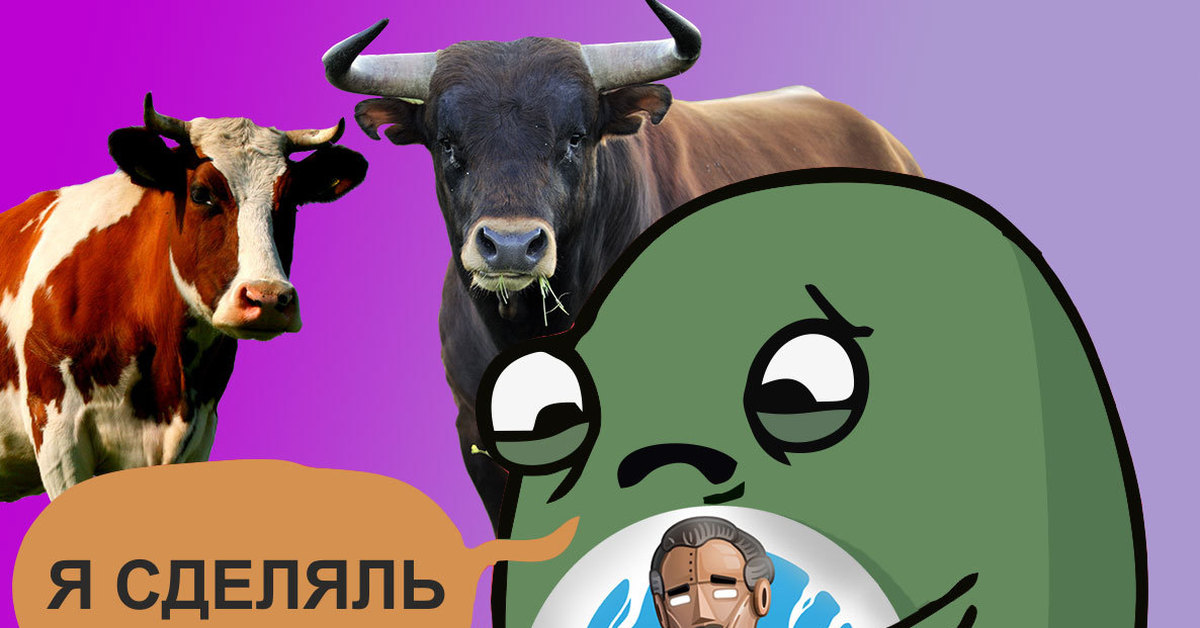 Быки и коровы играть. Bulls and Cows игра. Настольная игра быки и коровы. Фото игры быки и коровы.