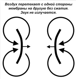 Туманный рупор что это. Смотреть фото Туманный рупор что это. Смотреть картинку Туманный рупор что это. Картинка про Туманный рупор что это. Фото Туманный рупор что это
