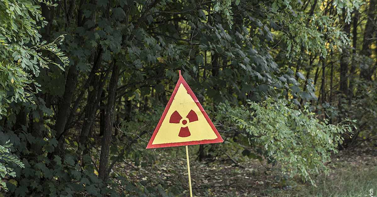 Знак опасности лес. Копачи Чернобыль. Знак радиоактивности Чернобыль. Табличка радиация. Дорожные знаки радиации.