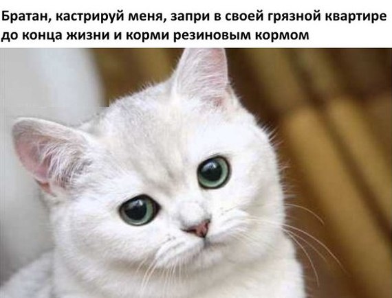 ���� ���������� �����������.