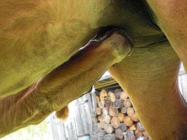 ��������� �����. ��������� � ����.